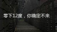 零下12度，你确定不来一件超时髦的羽绒服？